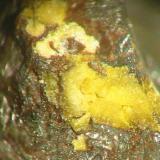 Yellow lazarenkoite on loellingite matrix from Bärenstein quarry, Bad Harzburg, Harz. Picture width 3 mm. (Author: Andreas Gerstenberg)