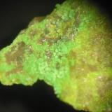 Green johannite from the 240 m level, Pöhla, Erzgebirge, Saxony. Picture width 3 mm. (Author: Andreas Gerstenberg)