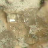 Clear fluellite crystals from Cornelia fieldspar mine, Hagendorf, Bavaria. Picture width 3 mm. (Author: Andreas Gerstenberg)