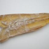Gypsum as a characteristic "Montmartre" twin from the Alter Stolberg quarry, Stempeda, Harz. About 10 cm in length. (Author: Andreas Gerstenberg)