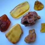 Berlin amber. The upper three from the left to the right: reddish brown sample from Postfenn gravel pit in Grunewald forest - very clear one (5,5 cm) from the tower block construction at Thorwaldsen street/Steglitz in the 1970s - small tumbler, having been found during the construction of the tube at Bayerischer Platz station/Schöneberg. The two in the middle: yellow opaque from Gatow (having been found during construction works at the army airport in 1985) - old find from Seddinberg gravel pit/Müggelheim. The two lower ones: small pebble from Parey gravel pit/Spandau - clear one from a building pit at the Wall street near Alexanderplatz. (Author: Andreas Gerstenberg)