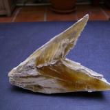 Gypsum (arrow-head twin). 7 x 5 cm. Galera, Granada, Spain (Author: Antonio Alcaide)