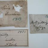 With three very old labels (1820-1840), former Hermann Loretz collection via Senckenberg museum, Frankfurt/Main. (Author: Andreas Gerstenberg)