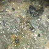 Native lead as flat balls with minor blue caledonite in quartz from Churfürst Ernst mine, Bönkhausen, Sauerland, Westphalia. Picture width 5 mm. (Author: Andreas Gerstenberg)