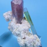 Elbaite
Paprok, Nuristan Province, Afghanistan
57 x 28 mm² (Author: Carles Millan)