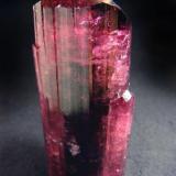 Tourmaline Rubellite, Russia, Chitinskaya oblast., Malkhan pegmatite field, Sosedka vien.

Size 74 x 30 x 28 mm (Author: olelukoe)