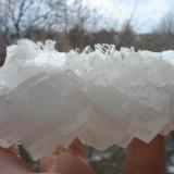 Clear syngenite crystals on white halite cubes from Sigmundshall potash mine, Bokeloh near Hannover, Lower Saxony. (Author: Andreas Gerstenberg)