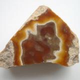 Polished aragonite sample (7 cm) from the Cotta sandstone quarries, Pirna, Erzgebirge, Saxony. These quarries gave the stones for the famous Frauenkirche in Dresden! (Author: Andreas Gerstenberg)