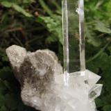 Quartz. 6x1x0,9 cm (Author: José Miguel)