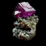 This specimen is a cube of 3 cm. in matrix of crystals of chalcopyrite.
It come from the old open pit "Veneros South"  in La Collada area. Its was mined in 1968.
J.R. García Photo (Author: jrg)