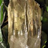 The same citrine Quartz in a garden. (Author: José Miguel)