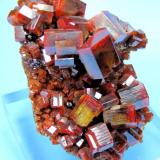 Vanadinite
ACF Mine, Mibladen, Midelt, Khénifra, Meknès-Tafilalet, Morocco
62 mm x 48 mm. Major crystal: 11.5 mm wide edge to edge (Author: Carles Millan)