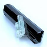 Schorl, beryl, feldspar, mica, garnet
Nyet, Shigar Valley, Skardu District, Baltistan, Gilgit-Baltistan, Pakistan
Schorl crystal size: 79 mm long, 19 mm wide. Weight: 68 g

One tip (Author: Carles Millan)