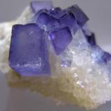 06042010PurpleFluoriteonQuartz.jpg (Author: Gordian)