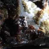 Close up of 0.5 cm Sphalerite (Author: nurbo)