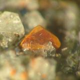 2 mm tabular melilite crystal with green pyroxene, nepheline and apatite needles - "classic" paragenesis from Löhley quarry, Üdersdorf, Eifel. (Author: Andreas Gerstenberg)