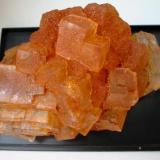 Light brown sylvine cubes on sylvine octahedrons. Historic, 85 mm wide sample from Glückauf potash mine, Sondershausen, Thuringia. (Author: Andreas Gerstenberg)