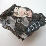 Faujasite and phillipsite in "limburgite" (basalt) from the Limburg quarries, Sasbach, Kaiserstuhl mtns., Baden-Wurttemberg. (Author: Andreas Gerstenberg)