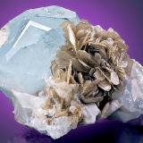 Beryl ( var. Aquamarine )
with Muscovite and Albite

Mt. Xuebaoding
Pingwu County, Mianyang Prefecture, Sichuan Province
China
6.3 x 8.0 cm (Author: GneissWare)