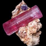 Elbaite with Lepidolite

Stewart Mine
Pala District
San Diego County, California
United States of America
6.0 x 5.3 cm (Author: GneissWare)