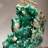 Dioptase on Calcite

Dumesnil Quarry
La Calera
Dept. Colon, Cordoba Province
Argentina
7.0 x 6.3 x 3.7 cm (Author: GneissWare)