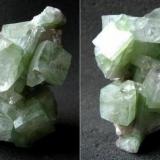 apophyllite_coll.JPG (Author: Tobi)