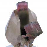 Elbaite, quartz, mica, albite?
Himalaya Mine, Gem Hill, Mesa Grande District, San Diego Co., California, USA
65 mm x 57 mm x 50 mm. Main elbaite crystal: 45 mm tall, 13 mm wide (Author: Carles Millan)