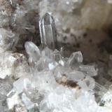 A tiny group of quartz crystals (largest 5 mm) that are often a nice feature of Schneckenstein topazes. (Author: Tobi)