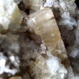 The longest topaz crystal (~ 25 mm) on this specimen. (Author: Tobi)