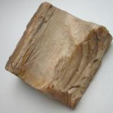 Opale is a kind of rarity from the Freiberg district, Erzgebirge, Saxony. The picture shows an 18th century find from the Sonnenwirbel Fundgrube (a rather small mine that was later consolidated with the famous Himmelsfürst mine). 6,5 cm so-called wood opale with label dating by 1780-1810. (Author: Andreas Gerstenberg)