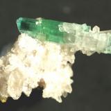 Elbaita policroma
Afganistán
2.9 cm. el cristal biterminado de Elbaita (Autor: Carles Curto)