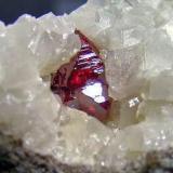 Cinabrio.
Mina Scarlatti, Puerto de Las Señales, León, Castilla y León, España. 
Tamaño de la pieza 6,5x4,5 cm.
Cristal de 1 cm. Col. y foto Nacho Gaspar. (Autor: Nacho)