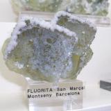 Fluorita
Mines de Sant Marçal, Montseny, Viladrau, Osona, Girona, Catalunya, España 
7x6 cm (Autor: jaume.vilalta)