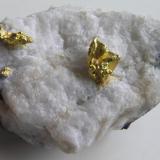 Oro Nativo s/Cuarzo.
Mina Colorado Quartz , Mariposa Co., California, EE.UU.
Tamaño pieza: 5x3.5x2 cm. Cristal octaédrico de 1x0,75x0,6 cm. Col. y foto Nacho Gaspar. (Autor: Nacho)