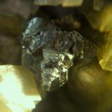 calcopirita mina troya guipuzkoa cristal de 1cm.jpg (Autor: Nieves)