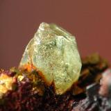 LUDLAMITA brunita. cristal de 2 mm.jpg (Autor: josminer)