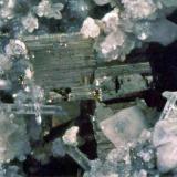 Krennerita c/cuarzo.
Cripple Creek, Teller Co., Colorado, EE.UU.
Cristales hasta 2,5 mm.  Col. Nacho Gaspar, Foto M. de Torres. (Autor: Nacho)