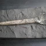 Belemnite piritizado 
Obras de la Autovia Jurasico Reinosa Cantabria
Tamaño del fosil 13 cm (Autor: PabloR)