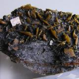 Wulfenita.
Alhama de Granada, Granada, Andalucía, España.
Tamaño de la pieza: 7,5x4,8x2 cm., cristales hasta 7,2 m. Col. y foto Nacho Gaspar. (Autor: Nacho)