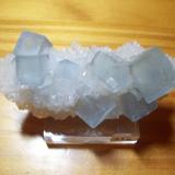 Fluorita - M. Hansonburg, Bingham, Nuevo Mexico, EEUU (7cm x 3cm) (Cristal mayor 1,5cm arista). (Autor: Darío Menéndez)