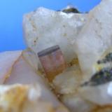Rubelita
Estepona  - Malaga
cristal  0.6 cm (Autor: Diego Navarro)