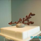 Cobre nativo
Herrerías  Huelva
año2002
3,2cms. (Autor: Gelo)