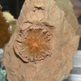 Aragonito, Pantoja, 13 cm (cristal 2 cm) (Autor: nimfiara)