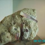 Turnalina var.Elbaita
Isla de Elba  Italia
año 2000
cristal más grande 4 cms. (Autor: Gelo)