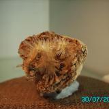 3,5x3,5cms (Autor: Gelo)