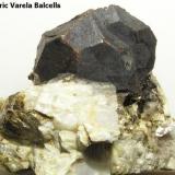 Granate almandino con moscovita. Castellar del Vallès, Vallès Occidental (Barcelona). 6,5 x 5 cm. (cristal 3,5 x 2 cm.) (Autor: Frederic Varela)