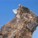 DOLOMITA
Afloramiento - Albatera - Alicante.
Pieza; 9x6,4 cm.
Cristal aéreo; 1x1,4cm. (Autor: DAni)