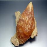 Calcita. Pugh Quarry, Ohio, Usa. 13x8 cm. Cristal de 12 cm (Autor: geoalfon)