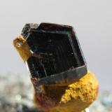 Rutilo. Kinyanfumbe. Zambia.
Tamaño 20x10 mm. (Autor: Jose Luis Otero)