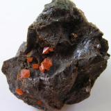 Wulfenita.
Mina Melissa, Trigo Mts., La Paz Co., Arizona, EE.UU.
Tamaño de la pieza 3,5x3x2 cm.
Cristales hasta 4 mm. Col. y foto Nacho Gaspar. (Autor: Nacho)